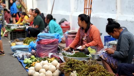 Luang-Prabang-morning-market-is-the-market-located-in-the-world-heritage-city-of-Luang-Prabang,-they-use-alley-beside-the-temple-to-sell-their-goods-such-as-fresh-vegetable,-fish,-and-wild-animal