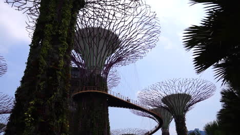 Gefilmt-Wurde-In-Gardens-By-The-Bay,-Singapur