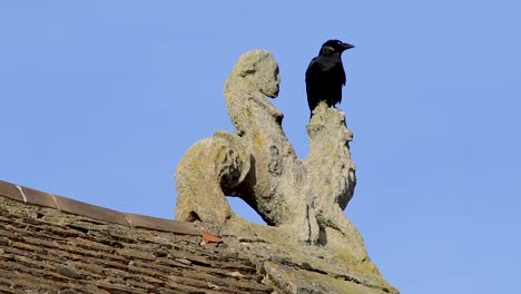 Eine-Schwarze-Krähe-Ruht-An-Einem-Windigen-Tag-Auf-Dem-Dach-Von-Oakham-Castle-In-Der-Stadt-Oakham-In-Rutland,-Großbritannien