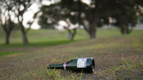 Bottle-of-champagne-falling-and-hitting-ground-in-slow-motion-showing-impact-on-dirt