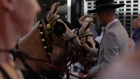 Un-Primer-Plano-Editorial-De-Un-Jinete-Tradicional-Con-Sombrero,-Protegiendo-A-Su-Burro-Mula-De-Las-Moscas-En-La-Ciudad-De-Fuengirola-En-El-Carnaval-Del-Rosario