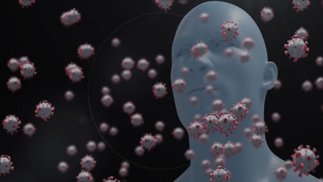 Animation-Von-Viruszellen-Und-Kreisen-über-Digitalen-Menschen