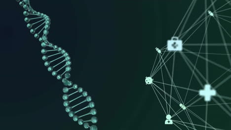 Animation-of-network-of-connections-with-icons-over-dna-strand