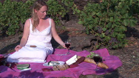 Picnicking-in-the-South-of-France