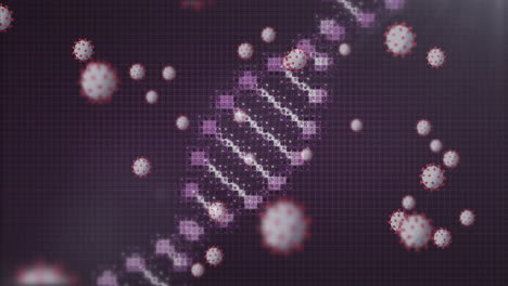 Animation-of-virus-cells-and-dna-strand-over-gray-background