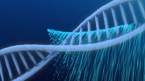 Animation-of-neon-spots-falling-and-dna-strand-on-blue-background