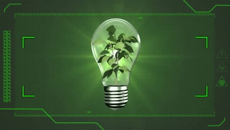 Animation-of-green-scanner-scope-over-growing-plant-powering-light-bulb,-on-green-background