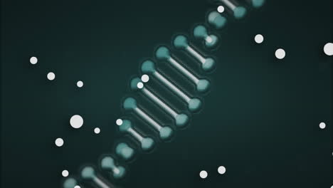 Animation-of-dna-strand-spinning-and-spots-over-dark-background