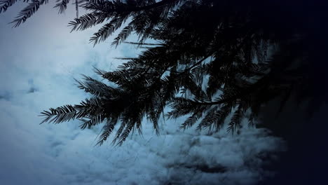 Animation-Einer-Sich-über-Wolken-Bewegenden-Tanne