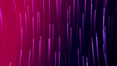 Animation-of-purple-and-red-lines-moving-on-black-background