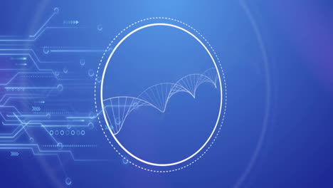 Animation-of-circuit-board,-digital-data-processing-over-dna-strand