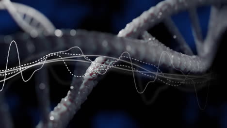 Animation-Von-Diagrammen-über-Einem-DNA-Strang