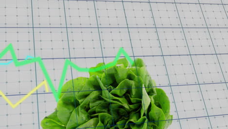 Animation-of-diagrams-over-fresh-lettuce