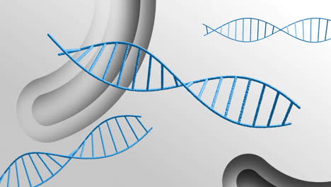 Animation-of-dna-strands-over-white-shapes-moving