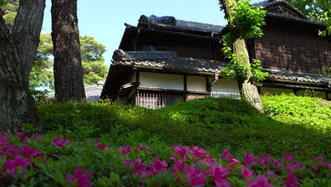 Control-Deslizante-En-Cámara-Lenta-Sobre-Un-Edificio-Típico-Japonés-Con-Flores-En-Primer-Plano