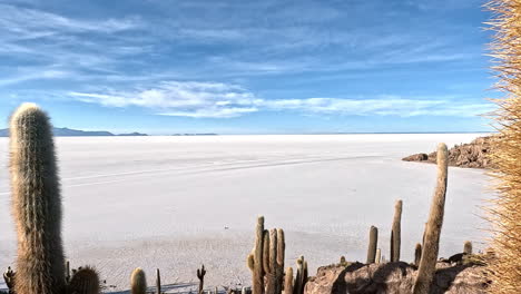 Wide-angle-pan-across-cactuses-gathered-along-mountain-overlooking-salt-flats