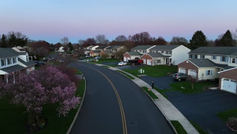 Parking-cars-in-front-of-garage-in-luxury-neighborhood-of-America-at-sunset