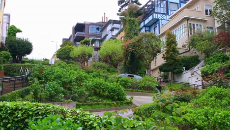 Lombard-Street-with-Vehicles-Driving-Down-the-8-Switchbacks-Amongst-Residential-Gardens-and-Green-Plants