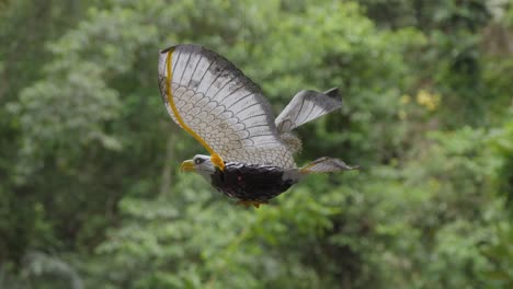 Un-águila-De-Juguete,-Suspendida-De-Una-Cuerda,-Gira-Con-Gracia-Con-El-Viento