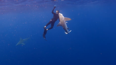 Hombre-Alimentando-Tiburones-Frente-A-La-Costa-De-Florida