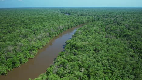 Luftaufnahme-Mit-Schwenks,-Die-Kilometerlange-Unberührte-Wälder-In-Florida-Zeigen