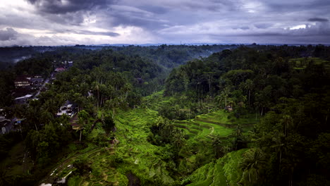 Vista-Aérea-Mística-De-Estrechas-Terrazas-De-Arroz-Con-Un-Cielo-Espectacular-En-Tegallalang,-Bali,-Indonesia