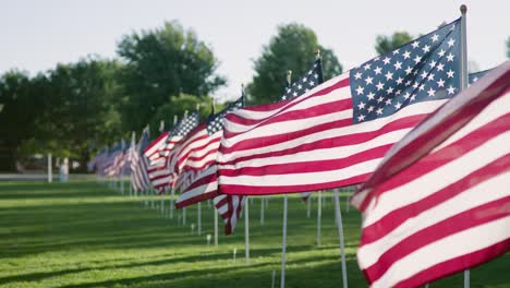 American-Flags-at-Sunset-Slow-Motion-in-a-Park-Setting