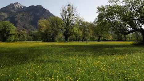 Fliegen-über-Große-Grüne-Wiese-In-Weesen-Mountain,-St.