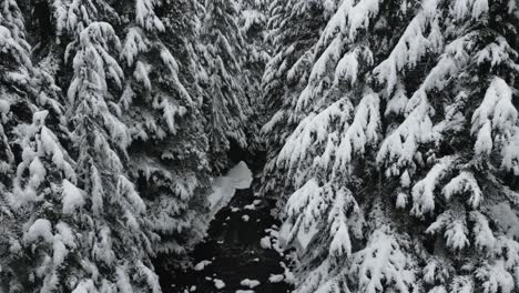 Volando-A-Través-De-Los-árboles-Cubiertos-De-Nieve-Junto-Al-Río-Durante-Las-Nevadas-En-Idaho,-Estados-Unidos