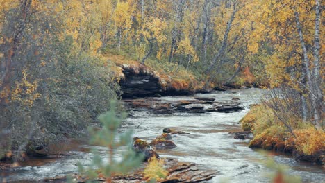 Farbenfrohe-Herbstlandschaft---Ein-Flacher-Fluss-Fließt-Durch-Den-Wald