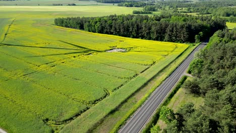 Panorama,-Blick-Auf-Ein-Rapsfeld,-Straße-Zwischen-Bäumen-Und-Schatten-Rotierender-Windradblätter,-Erneuerbare-Energiequellen