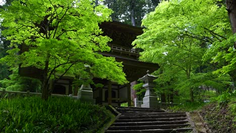 Zeitlupenwanderung-Hinauf-Zum-Typischen-Schreintor-In-Japan,-Tief-Im-üppigen-Wald