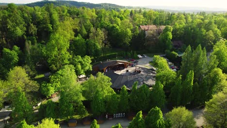 Drohnenaufnahmen-Eines-Live-Musikkonzerts-Auf-Der-Parkbühne-An-Einem-Sonnigen-Tag