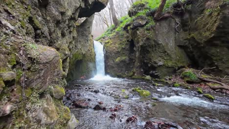 Waterfall-in-a-Japanese-forest-with-a-river-going-next-to-it-and-some-rocks