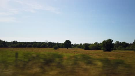 Conduciendo-Por-La-Naturaleza-Salvaje-De-La-Isla-Sueca-De-Gotland-En-El-Mar-Báltico