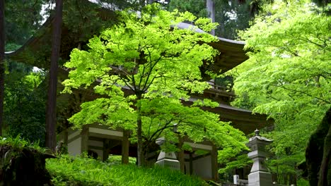 Control-Deslizante-En-Cámara-Lenta-Sobre-Una-Hermosa-Puerta-Japonesa-Dentro-Del-Jardín-Paisajístico