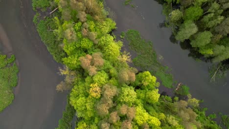 Vista-Desde-Drones-De-La-Llanura-Aluvial-Del-Río-Y-El-Bosque-A-Través-Del-Cual-Fluye