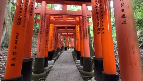 Shinto-Schrein-Am-Berghang-Von-Fushimi-Inari-Mit-Traditionellen-Roten-Toren-In-Kyoto,-Japan