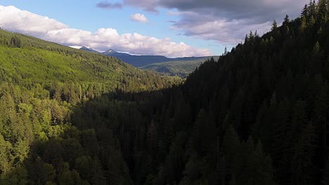 Scenic-view-above-the-tree-tops-of-Evergreen-forest-and-landscape-in-Carbonado,-Washington-State