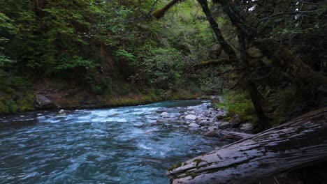 Majestätische-Landschaftsaufnahme-Eines-Fließenden-Flusses-Im-Immergrünen-Wald-In-Carbonado,-Bundesstaat-Washington