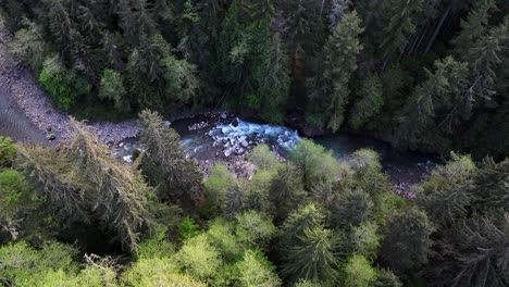 Scenic-bird's-eye-shot-flying-over-Evergreen-forest-revealing-flowing-river-in-Carbonado,-Washington-State