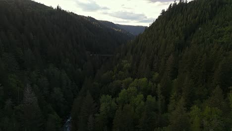 Nature-aerial-scenic-shot-in-valley-of-Evergreen-forest-and-river-with-bridge-in-Carbonado,-Washington-State