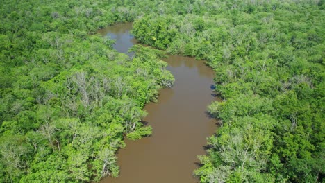 Antena-Siguiendo-Un-Río-Inundado-A-Través-De-Un-Denso-Bosque