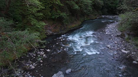 Nature-shot-of-flowing-river-through-lush-green-forest-in-Carbonado,-Washington-State