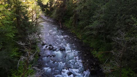 Hermosa-Vista-Del-Río-Que-Fluye-Rápidamente-Entre-El-Bosque-Siempre-Verde-En-Carbonado,-Estado-De-Washington