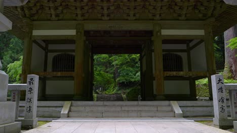 Long-shot-walking-through-beautiful-shrine-gate-inside-deep-summer-forest