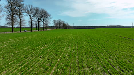Ein-Ausgedehntes-Grünes-Feld-Mit-Einer-Reihe-Kahler-Bäume-Auf-Der-Linken-Seite