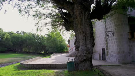 Discover-the-beauty-of-Sabandía-Mills-at-sunset-from-behind-a-tree