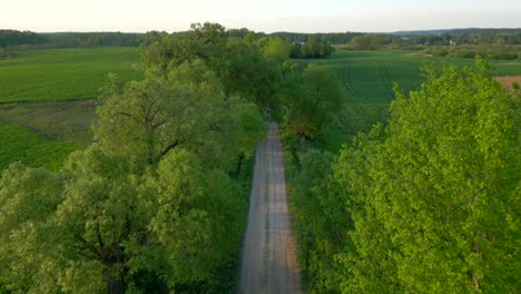 Aerial-establishing-shot-of-gravel-road-surrounded-by-trees-and-fields-in-spring-season