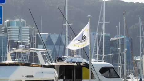 Flag-waving-at-Chaffers-Marina,-Wellington-New-Zealand